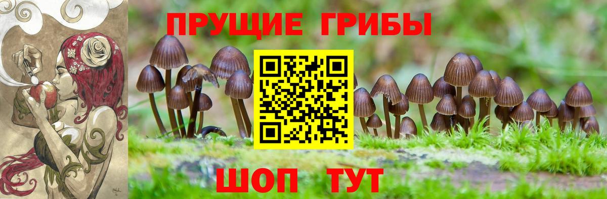 Псилоцибиновые грибы GOLDEN TEACHER Урай